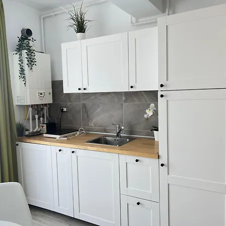 Ella Mamaia Năvodari